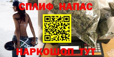 герыч Кингисепп