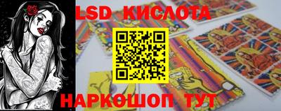 спиды Камышлов