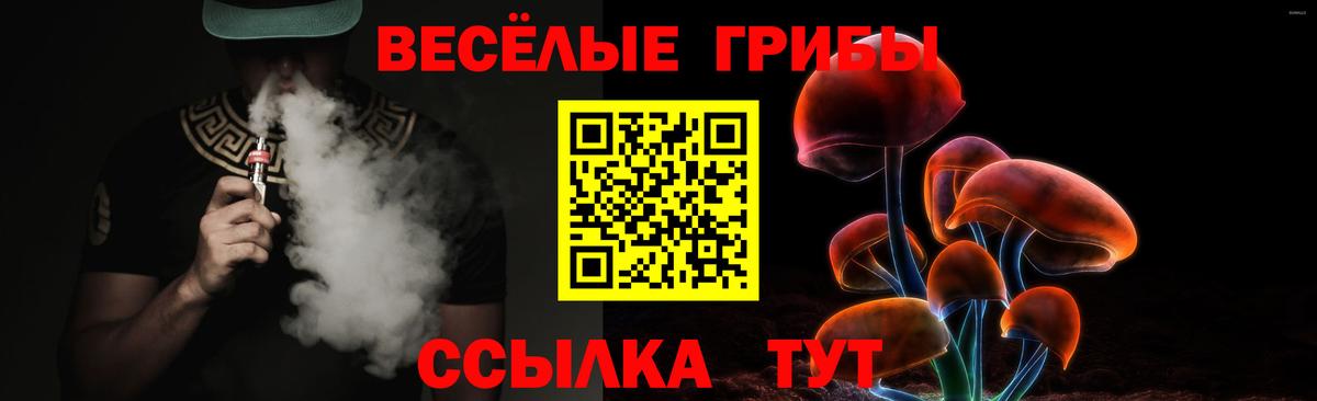 Псилоцибиновые грибы Psilocybine cubensis  Вход с VPN  Краснокаменск 